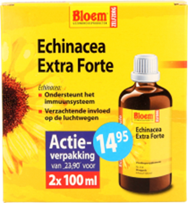 BLOEM ECHINACEA EFCATCL.DUO   2 ST